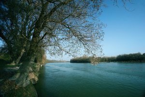 Pozsonytól Párkányig húzódhat a Duna Menti Nemzeti Park