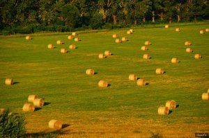 Támogatás a gazdáknak: a zöldítésről Kesztölcön