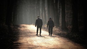 Látogatófelmérésre várják az önkénteseket a Pilisi bioszféra-rezervátumban