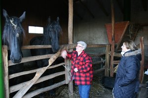 Két fríz lovuk is van. A képen jobbra Panni néni, az alpolgármester asszony
