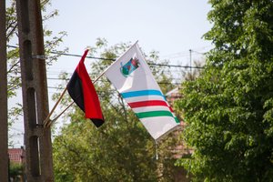 IMG_8467.JPG