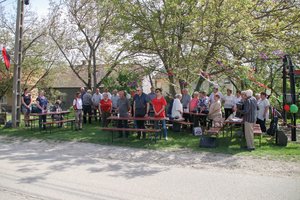 IMG_8533.JPG