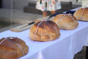 IMG_5937.JPG