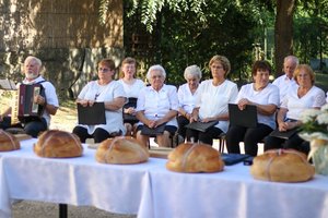 IMG_5994.JPG