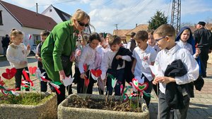 kesztolcmarc15 (22).jpg