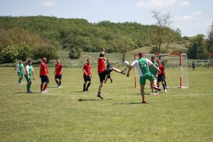 IMG_7955.JPG