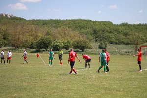IMG_7999.JPG
